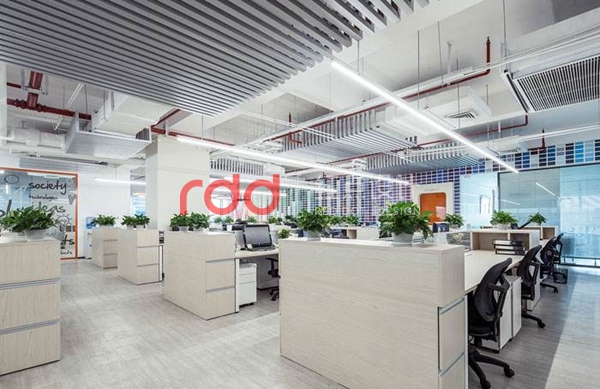 timg (1).jpg timg (1).jpg